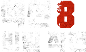 Section 8 — Logos 3