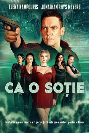 Poster Ca o soție 2022