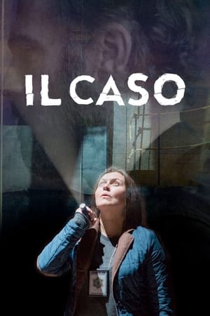 Poster Il caso Stagione 1 Episodio 4 2015