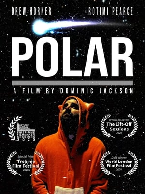 Poster Polar (2019)