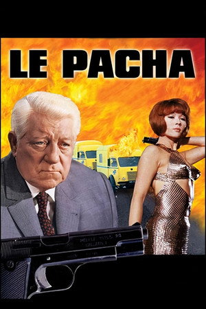Pasha 19