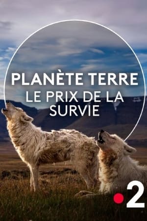 Image Planète Terre, le prix de la survie