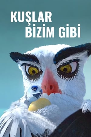 Poster Kuşlar Bizim Gibi 2022