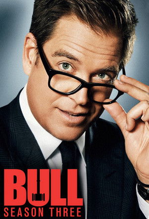 Bull: Staffel 3