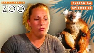 Episode 23