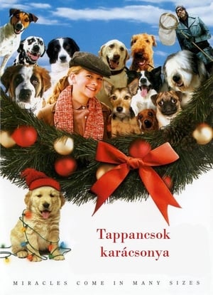 Poster Tappancsok karácsonya 2005