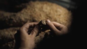 Dune: Part Two (2024) ดูน: ภาคสอง พากย์ไทย