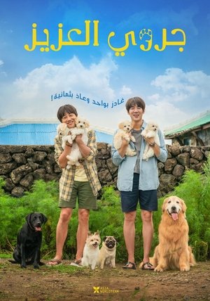 Image 멍뭉이