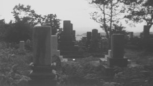 Minamata: The Victims and Their World (1971)