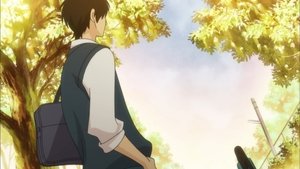 Kimi ni Todoke: 1×16