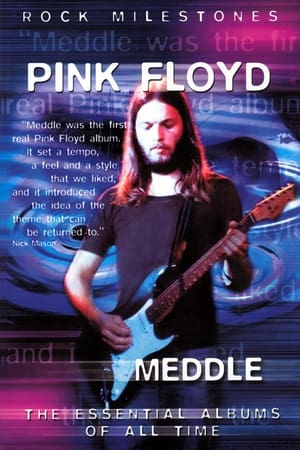 Poster Rock Milestones: Pink Floyd: Meddle (2007)