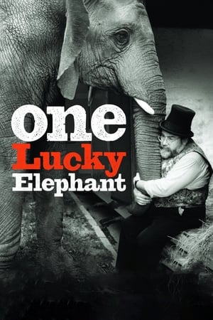 Image One Lucky Elephant