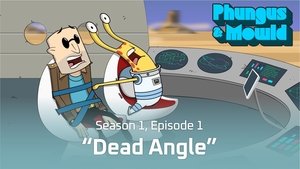Dead Angle