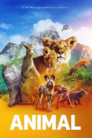 Animal – Season 2 Animal – Season 2