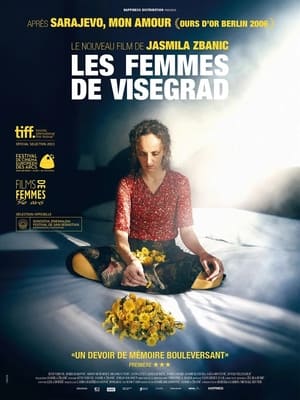 Poster Les femmes de Visegrad 2013