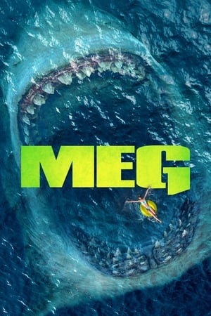 Poster Meg 2018