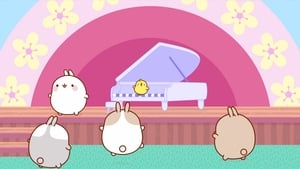 Molang: 4×10