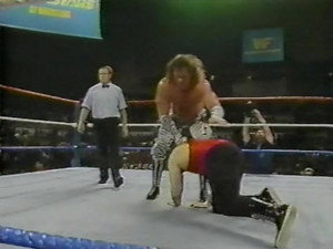 December 3, 1988 - Superstars of Wrestling 118 - Episode 49