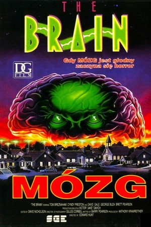 The Brain 13