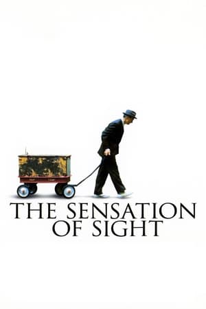 The Sensation Of Sight