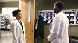 Anatomía de Grey Temporada 11 Capitulo 15