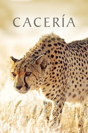 Image La caza