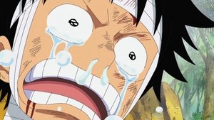 I Want to See Them! Luffy's Mournful Cry!