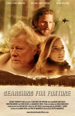 Poster Searching for Fortune (2017)