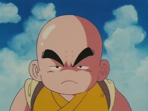 Dragon Ball Season 1 Episode 14