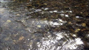 Magical Japanese: 4×8