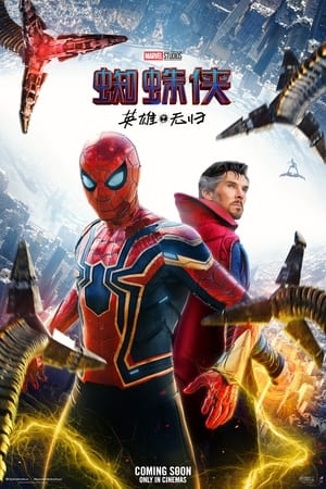 Poster 蜘蛛侠：英雄无归 2021