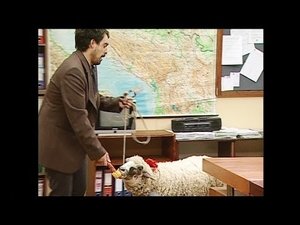 Épisode 51