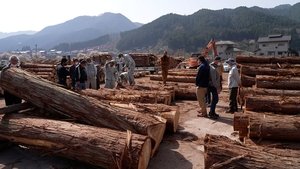 Journeys in Japan: 13×10