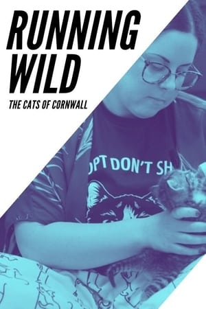 Image Running Wild: The Cats of Cornwall