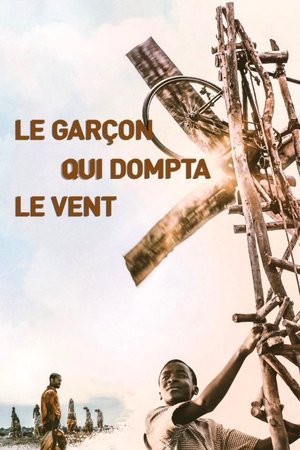 Image Le Garçon qui dompta le vent