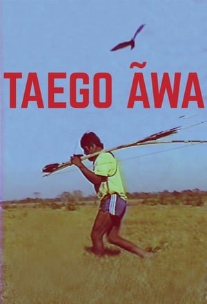 Poster Taego Ãwa 2017