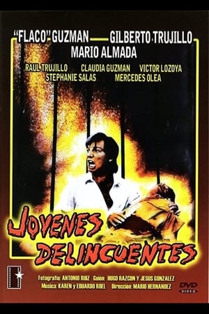 Poster Jóvenes delincuentes 1991