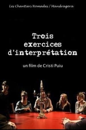 Poster Three Interpretation Exercises (2013)