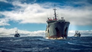 Les justiciers des océans - Sea Shepherd à la poursuite du Thunder