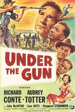 Under the Gun poster