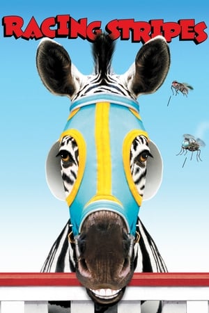 Poster di Striscia, una zebra alla riscossa