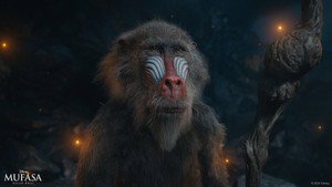 Images posters