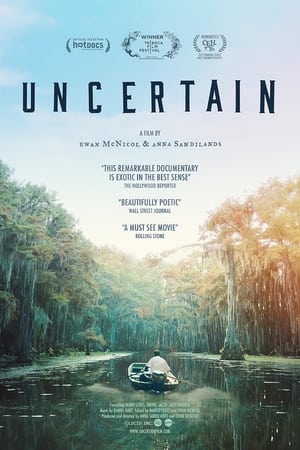 Poster Uncertain 2017