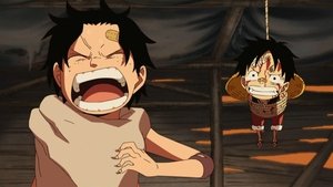 One Piece: Season 13 Episode 495