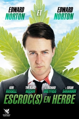 Poster Escroc(s) en herbe 2009