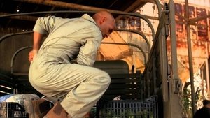 Prison Break: Em Busca da Verdade: 3×5