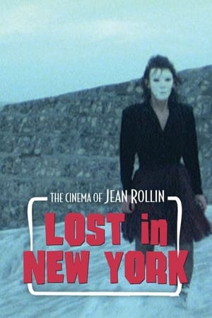 Poster Lost in New York (1989)