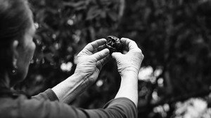 Vírgen del níspero