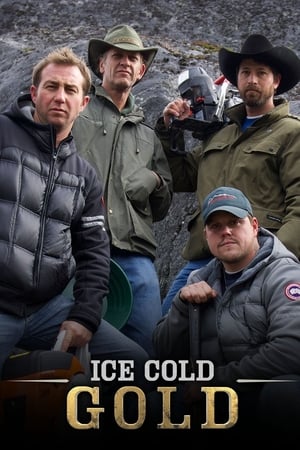 Poster Ice Cold Gold 2013