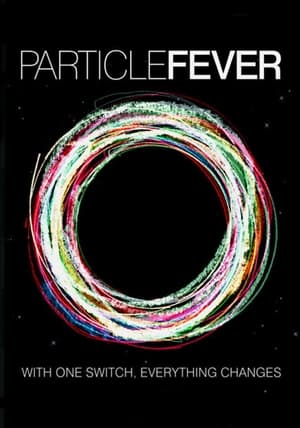 Poster Particle Fever 2013